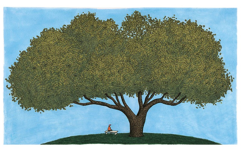 Take a Bough