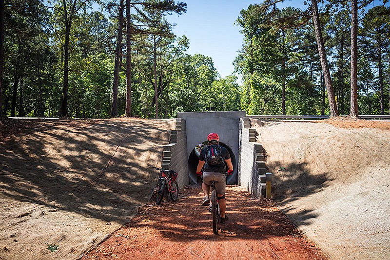 Mountain bike cheap trail building companies