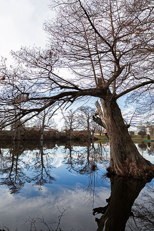 Hometown Newport The Arkansas DemocratGazette Arkansas' Best News