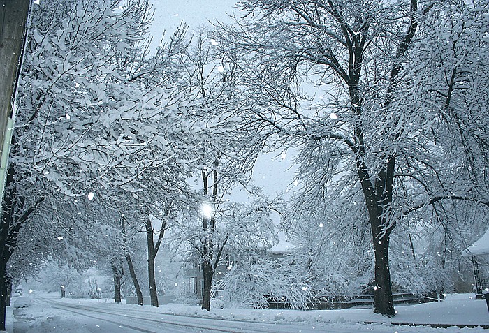 While most residents of California and surrounding areas slept Sunday night, a wintery mix snuck in and covered the area with several inches of wet snow. 