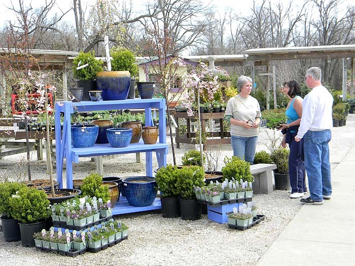 Longfellow's Garden Center Owner Alice Longfellow gives advice and information to Becky and Kim Miller, Jefferson City, at the Open House Saturday, April 2.