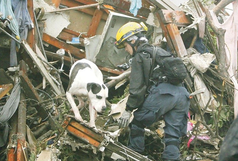 Kathleen Kelsey, a canine rescue specialist with the Missouri Task Force One search-and-rescue team, guides a live-find dog named ChicoDog through the wreckage of a public housing complex in Joplin Monday. 
