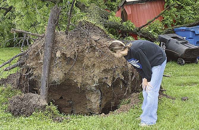 Jessica Potter checks a deep hole created when a large tree in her backyard at 7209 State Road C in Callaway County was uprooted during a Wednesday storm. The tree crushed a shed in back of the house. Another tree nearby snapped and fell across a horse trailer and car in the back yard. Two big trees were uprooted in the front yard.