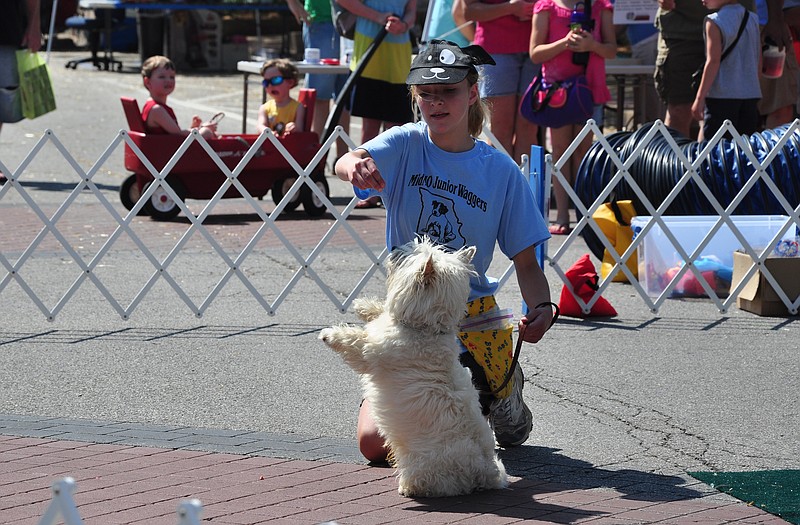 
Victoria Fisher, 12, and her dog Toto perform during KidsFest. Leading Toto through agility drills is Victoria's favorite part "because he's best at it." Victoria and Toto have been part of MidMo Waggers for three years.