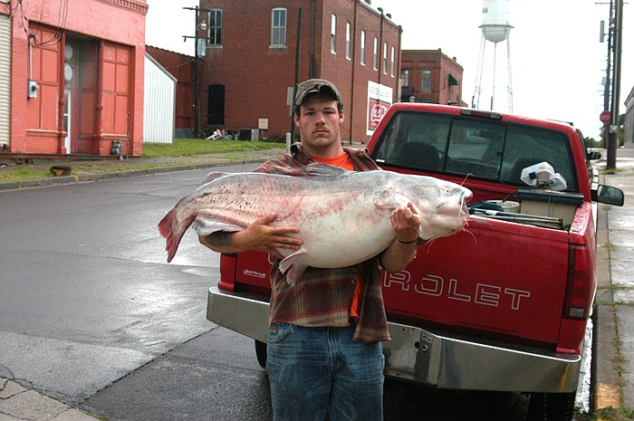 An 82 pound blue catfish, four feet three inches long, was taken by Gary Lee Taylor Jr., on Sunday, June 26 at the Missouri River access at Marion.