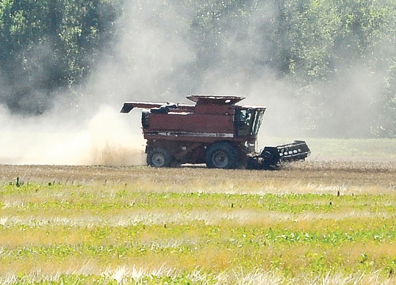 Workers harvest wheat with a combine at the former Renz Prison Farm.