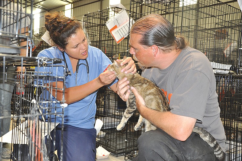 (Right) Tim Rickey, of the ASPCA, holds a blind cat for inspection at the Joplin site set up for displaced animals. (Left) A veterinarian volunteer checks the animal. Rickey said more than 100 medical volunteers have helped the ASPCA in Joplin since the tornado hit.