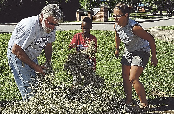 Program coordinator Bob Channer, left, and Amy Gooding, a technician with the Native Plants Program, right, get some help from Najavon Parrish, 8, as they mulch tomato plants with straw during a research project at Lincoln University's facilities in Jefferson City. 