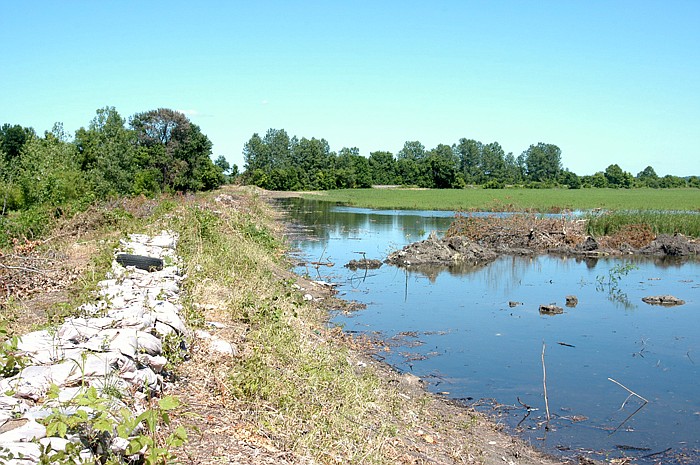 The levee in Wooldridge.