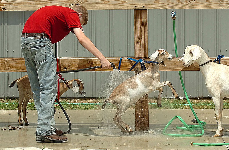 With temperatures approaching 100 degrees Tuesday, Connor Scheumann of Hoagland. Ind., keeps the kids cool at the Allen County Fair in Fort Wayne, Ind.