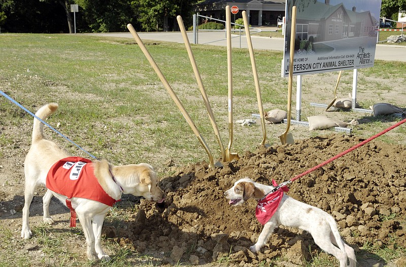 
Nellie, left, a 1-year-old labrador mix and Click, a three-month-old mix, were on hand for the groundbreaking at the site of the new Jefferson City Animal Shelter in Hyde Park. Both are available for adoption at the current shelter. 