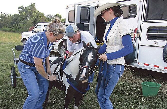 Erin Blochberger, right, gets help from her parents, Schellie and Bill, while they try to calm down Erin's miniature horse, Sassie, before an event at the Cole County fair's 4-H and FFA youth horse show on Sunday at Markway Stables in Eugene, Mo. 