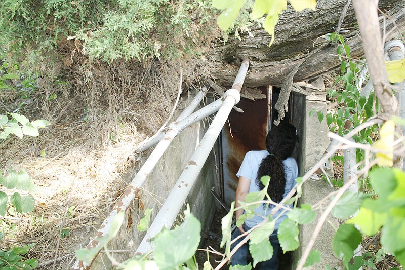 Katie Davis, assistant to Callaway Action Network Director Julie Roark, checks an abandoned cellar for potential occupants.