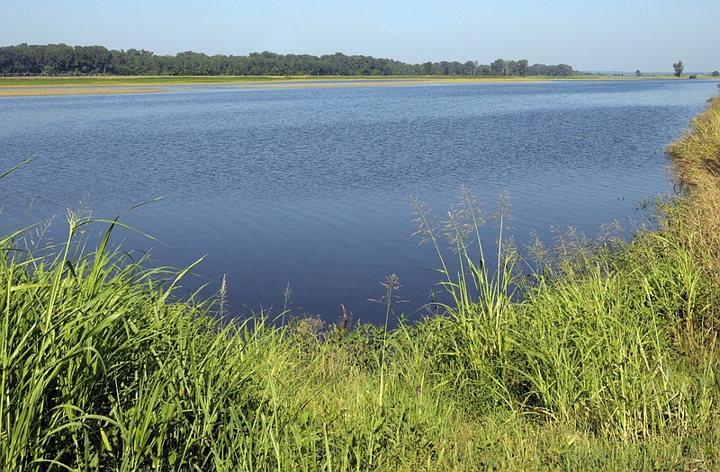 Farmland along East Hartsburg Bottom Road in the Hartsburg river bottoms looks like a lake because of seep water. 