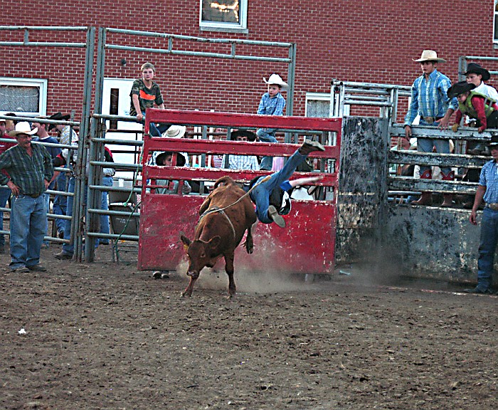 It was a quick ride for this young bull rider at the Moniteau County Fair Rodeo on Wednesday, Aug. 3. 