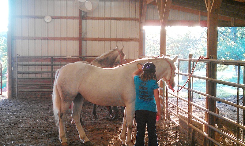 Reagan Verwys, 10, of Fulton, practices her grooming skills Thursday afternoon as part of the Spirit Riders program at CrossWind Ranch. Verwys said her favorite part of the program has been learning how to communicate with the horses.