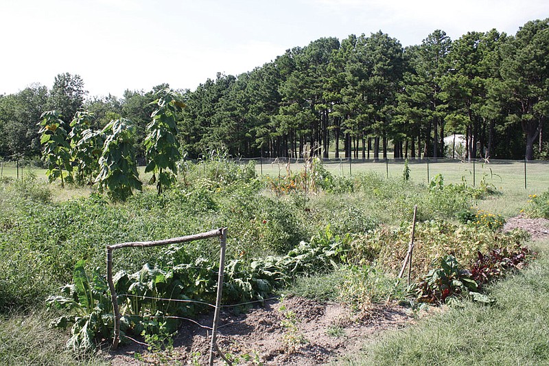 The community garden located next to the Fulton Fire Department is yielding a variety of different produce in its first year.
