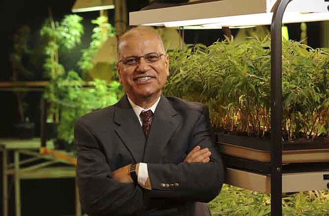 This Aug. 19, 2008 photograph released by the University of Mississippi Brand Photography Services shows Dr. Mahmoud ElSohly, who directs the federally sponsored medical marijuana operation in at the University of Mississippi in Oxford, Miss. For the past three decades, the federal government has been providing a handful of patients with some of the highest grade marijuana around. The program grew out of a 1976 court settlement that created the country's first legal pot smoker.