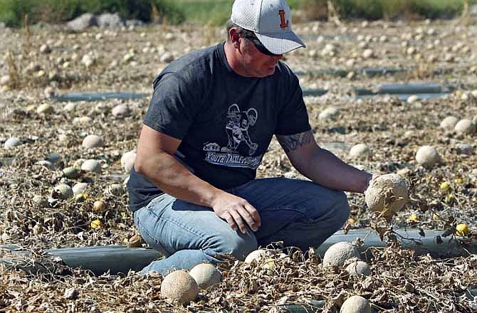 Owner Eric Jensen examines cantaloupe on the Jensen Farms near Holly, Colo., on Wednesday, Sept. 28, 2011. The Food and Drug Administration recalled 300,000 cases of cantaloupe grown on the Jensen Farms after connecting it with a listeria outbreak.