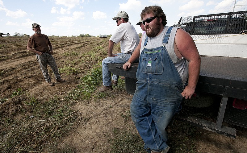 
Sweet potato farmer Casey Smith, right, looks at a nearly empty sweet potato field that needs cultivating in September on his father's farm in Cullman, Ala. Normally, Smith hires some 25 laborers to help bring in his crop. Only five workers showed up on the day that Alabama's stringent immigration law took effect. 