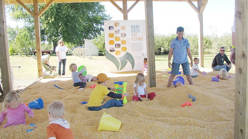 Children play in the corn box at Fischer's Pumpkin Patch and Corn Maze. In addition to the maze and corn box, the farm also features a pick-your-own pumpkin patch, hay rides and farm animals.