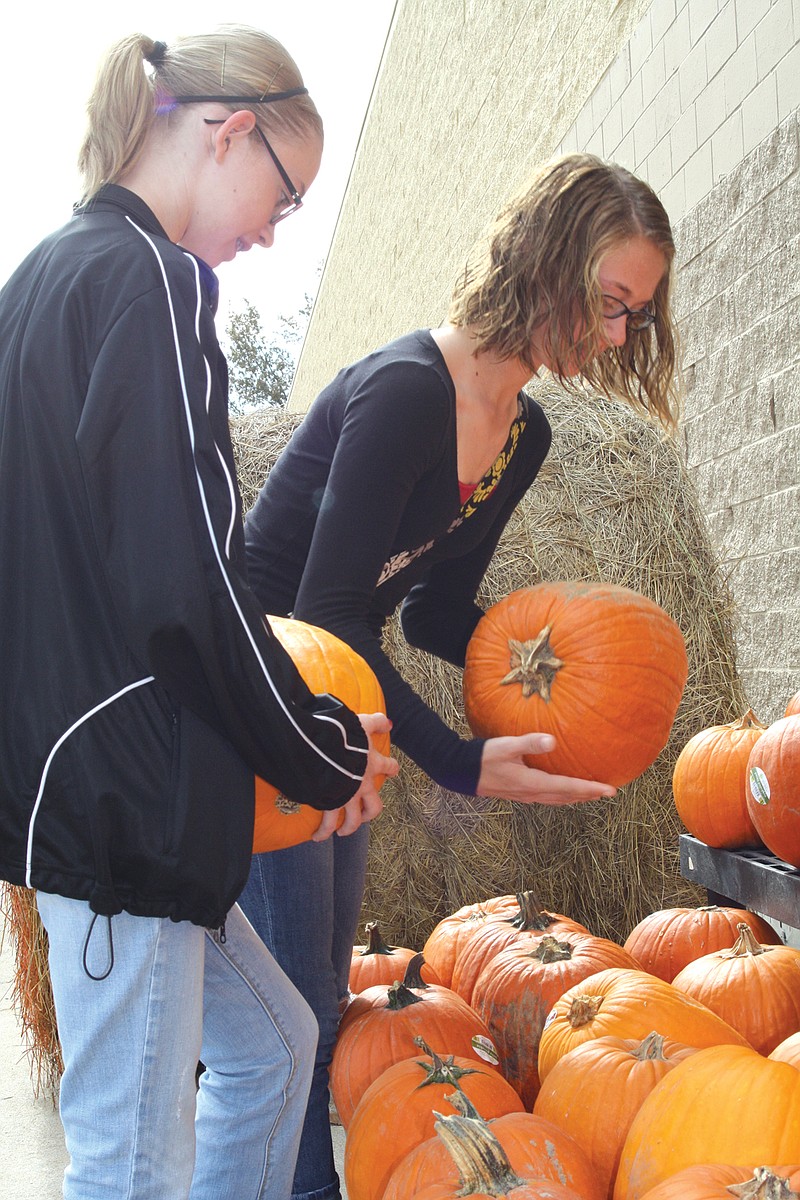 Sisters (front) Elizabeth, 12, and Emily Barbour, 16, select a pumpkin a piece to bring home and carve. The girls chose pumpkins from the Fulton Walmart selection on Tuesday in preparation for Halloween.