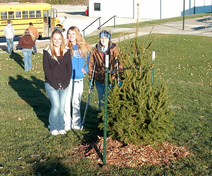 Several CHS first hour greenhouse students prepare to go back to school after having helped the City Parks Department employees plant trees on the grounds of the swimming pool.