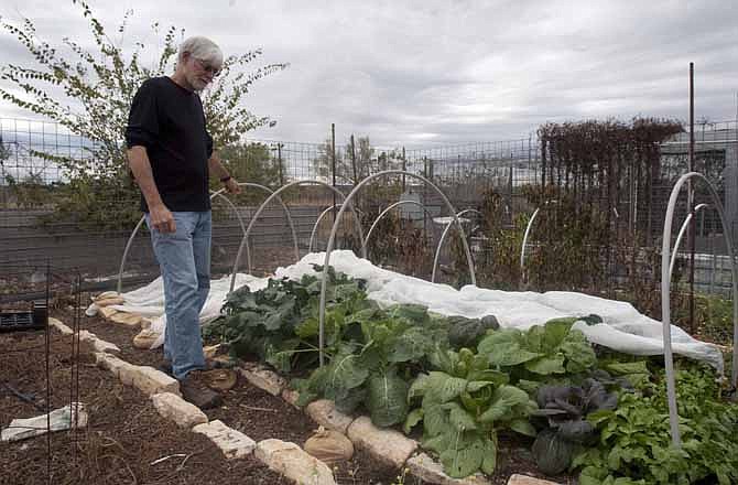 In this, Tuesday, Nov. 8, 2011, photo, Dr. Dewayne Nash checks out his garden at his home in Bertram, Texas. Dr. Nash a former family doctor practicing medicine in Bertram is diagnosed with Alzheimers disease. (AP Photo/Austin American-Statesman, Ricardo B. Brazziell)