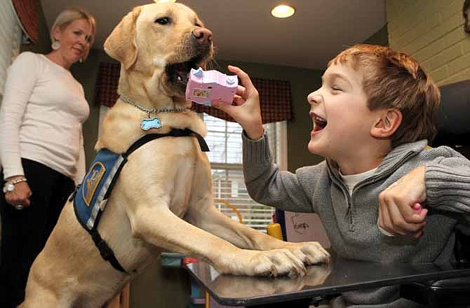 In this Nov. 10, 2011 photo, from left to right, Page Murphy looks on as Crisp the dog picks up a toy for Mason Murphy, 8, at their home in Mariemont, Ohio. Crisp is unlike most dogs; the Labrador-golden retriever mix is an assistance companion to Mason, a Mariemont Elementary student whose cerebral palsy prevents him from using his legs and contributes to other difficulties. (AP Photo/The Cincinnati Enquirer, Joseph Fuqua II)