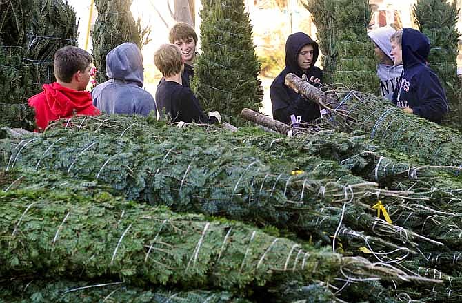 Members of the Jefferson City Jays baseball team stand by while waiting to help set up the Jefferson City Optimist Club's annual Christmas tree lot on the corner of Dunklin and Broadway on Friday morning.