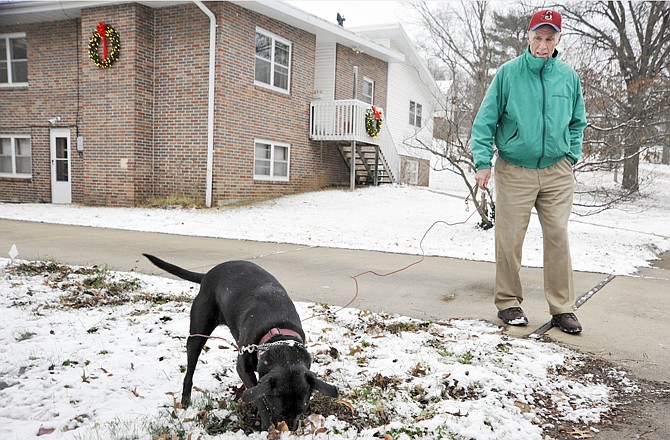 Molly, a 2-year-old lab mix and former stray, digs for a mole during her afternoon walk Tuesday with Dan Reed near Allen Drive.