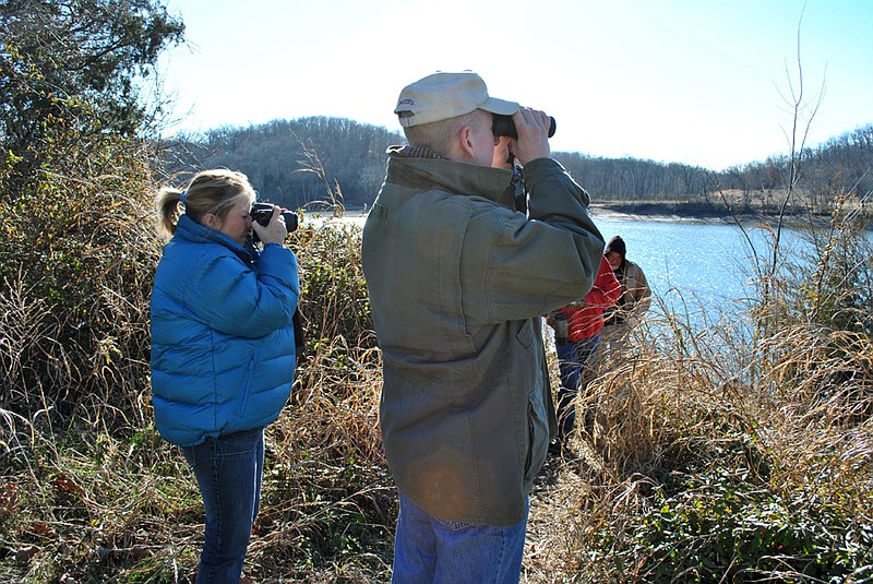 Visitors can view live, wild bald eagles and other varieties that flock to the area below Bagnell Dam as one of the many activities available during Eagle Days 2012, held this year on Saturday and Sunday.