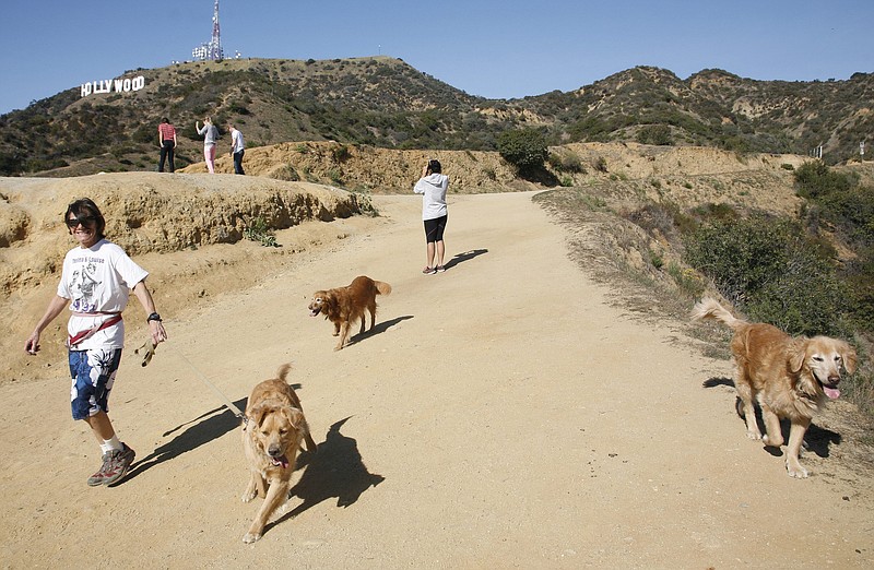 A hiker walks her dogs Wednesday in Griffith Park near the Hollywood sign after a plastic bag containing a human head was discovered Tuesday. Investigators have since found hands and feet as well.