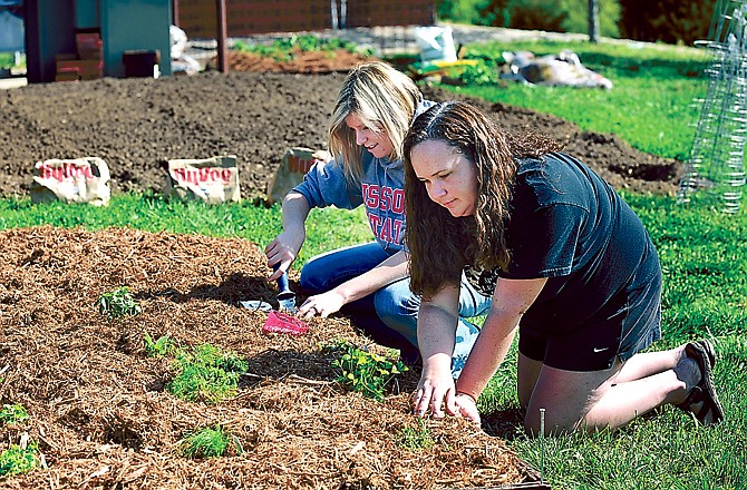 April Drewel, foreground, and Lindsey Koelling spread mulch around the herb plants they just put in the soil. The duo will provide the labor and expertise for this cooperative effort between Hy-Vee and the Special Learning Center.