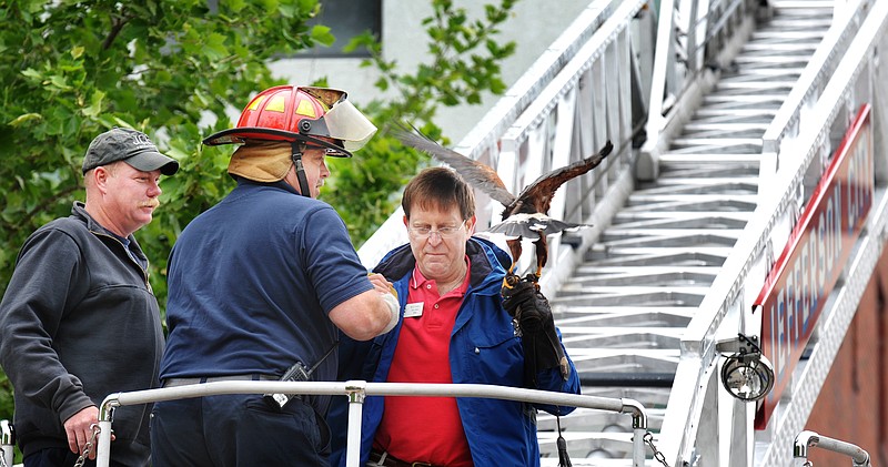 Dave Reutz, left, and Cpt. Kurt Williams of the Jefferson City Fire Department assist Michael Zeloski as he climbs down a JCFD ladder after retrieving an AWOL hawk from a Madison Street building.