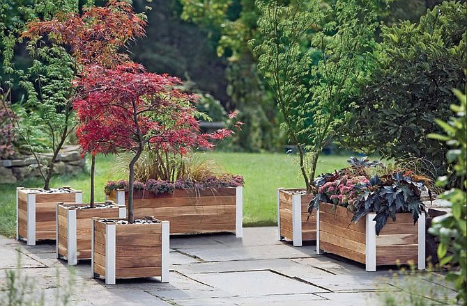Containers are useful for gardeners who don't have much room or who just want a unique look for their outdoor space.