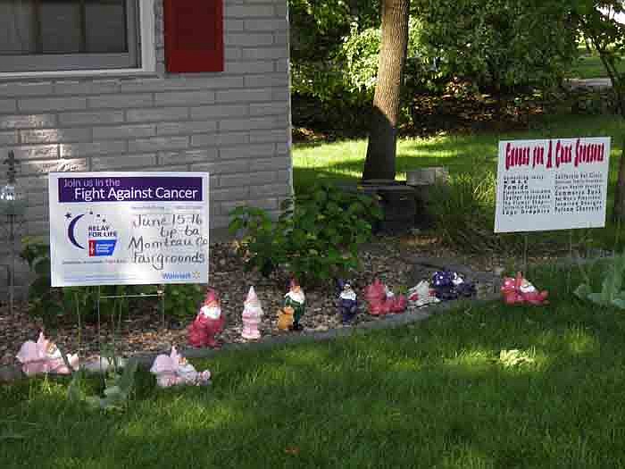 Signs with info on gnome removal and about Moniteau County Relay for Life are placed along with the gnomes.