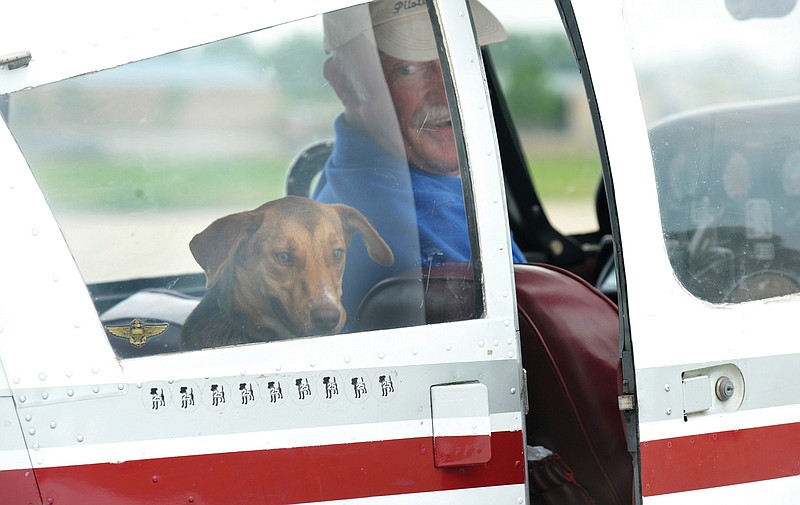 Sam Taylor has secured his co-pilot, Amelia Earhart, to the seat and prepares to take flight to take the 8-month-old mixed breed dog to a foster family in Kansas. Taylor flew his single engine plane into the Jefferson City Memorial airport Friday morning and was on his way to Kansas with the pup in a short while. Each sticker below the window represents 25 dogs he has flown in his few years as a pilot with the Pilots N Paws Program. 