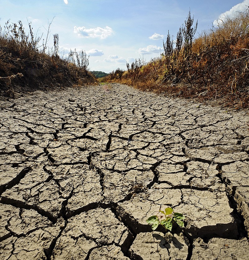 An irrigation ditch on farmland near Mokane shows the effects of the current dry spell gripping central Missouri.