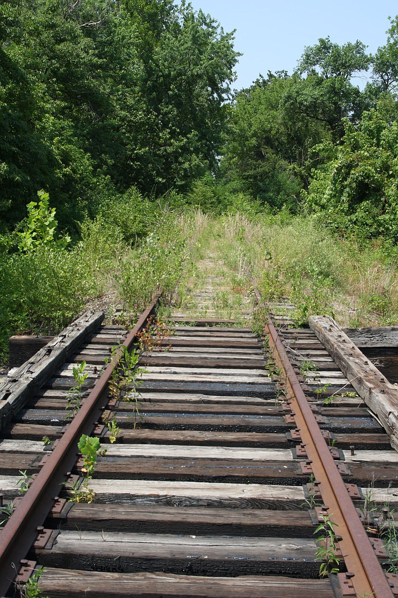 A stretch of track along the short line railroad between Mexico and Fulton, in talks to be reopened, sits unused near William Woods University. 