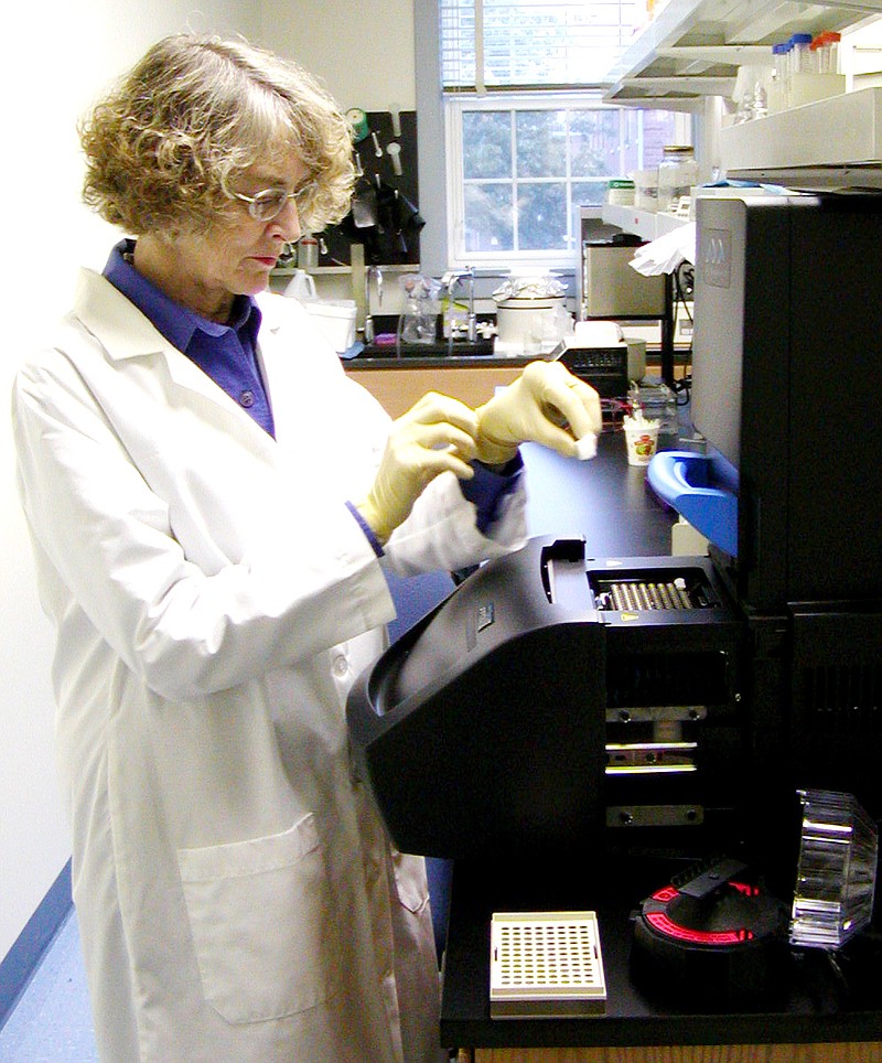 Dr. Mary Spratt, a William Woods University science professor who is nationally known for her research on Missouri ticks, works in her laboratory at the university.