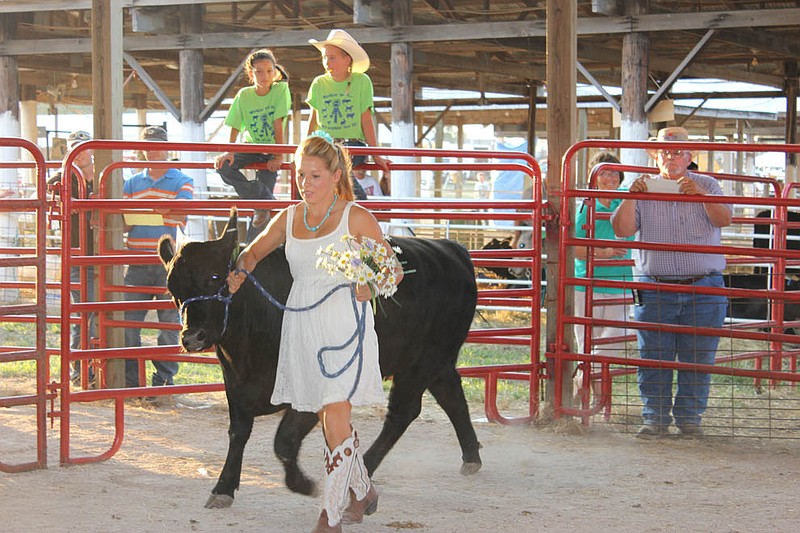 Klarissa Minish shows off her cow, a "bride for sale" during the 4-H FFA Livestock Auction Wednesday.