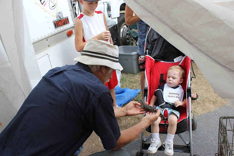 Ken Henderson introduces Anthony Dattoli to a baby alligator outside of his tent at the Kingdom of Callaway Fair. Henderson, formerly a resident of Callaway, has toured all over the nation, teaching people young and old about reptiles.
