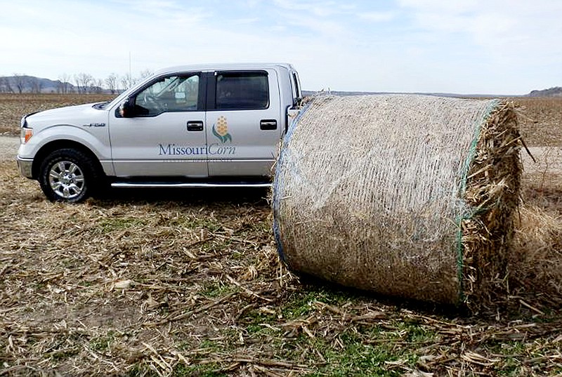 A bale of corn stover, the remaining corn plant after the grain has been harvested, is showcased dring a corn stover field day in Rhineland earlier this year.