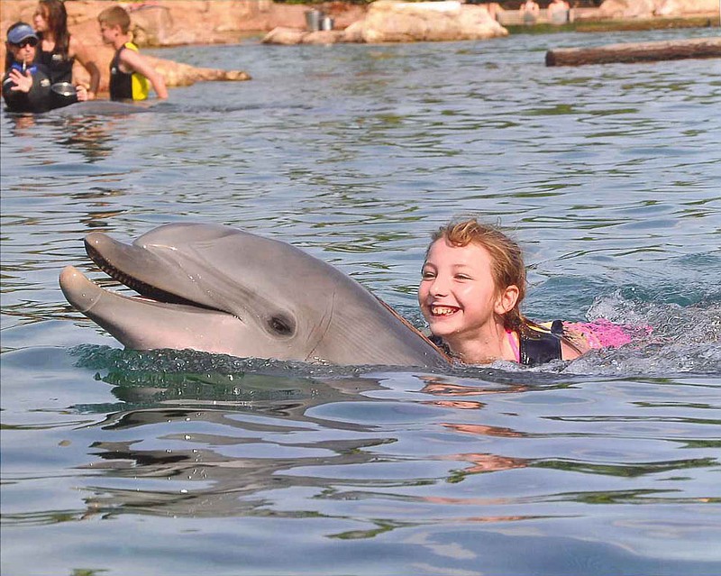 Sidney Nelson, 11, lives her dream as she swims with Yoko the Dolphin at Discovery Cove in Orlando, Fla. The Fulton girl - who uses a wheelchair after an ATV accident last year - got to visit Discovery Cove and Disney World through Dream Factory, Inc., a wish-granting organization for children with critical or chronical illnesses or disabilities.