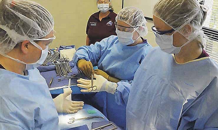 Tammy Mangold, back, instructs Lincoln University students in good surgical procedures at Eliff Hall. Students Ashley Shoults, left, Bridget Cook and Kristin McAllister, right, participate in the lab exercise. 
