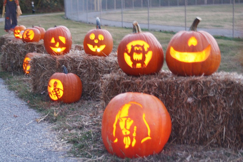 Pumpkins like these will glow around the Memorial Park Gazebo Oct. 30-31 as part of the Parks and Rec's second annual Pumpkins in the Park carving contest. Pumpkins will be judged in a people's choice contest on scariest, biggest and most creative carvings.