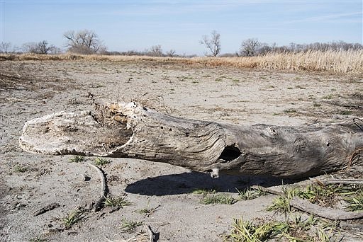 A tree trunk rests on the bed of a dried lake, the outcome of severe drought, in Waterloo, Neb., Tuesday, Nov. 20, 2012. A new report shows that the nation's worst drought in decades is getting worse again, ending an encouraging five-week run of improving conditions. The weekly U.S. Drought Monitor report shows that 60.1 percent of the continental U.S. was in some form of drought as of Tuesday. That's up from 58.8 percent the previous week. The portion of the lower 48 states in extreme or exceptional drought - the two worst classifications - also rose, to 19.04 percent from last week's 18.3 percent. 