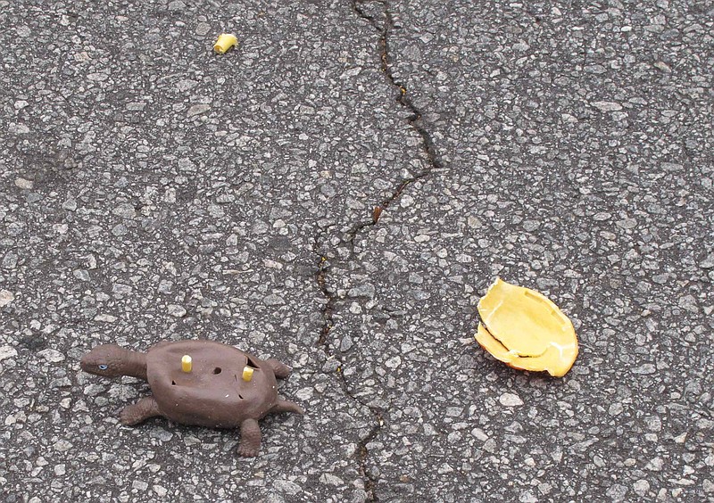 The shattered plastic shell of a fake turtle sits near the turtle's rubber body on a road near Clemson, S.C. Clemson University student Nathan Weaver is placing fake turtles in roads near campus to see how many drivers intentionally run over the animals.