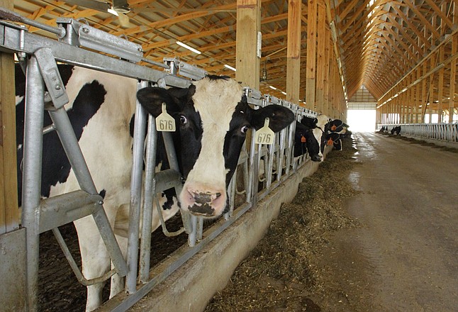 A patchwork extension of federal farm programs keeps the price of milk from rising but doesn't include many of the goodies farm-state lawmakers are used to getting for their rural districts. 